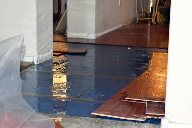 Professional Basement Flood Cleanup technician working in Waterloo, AL